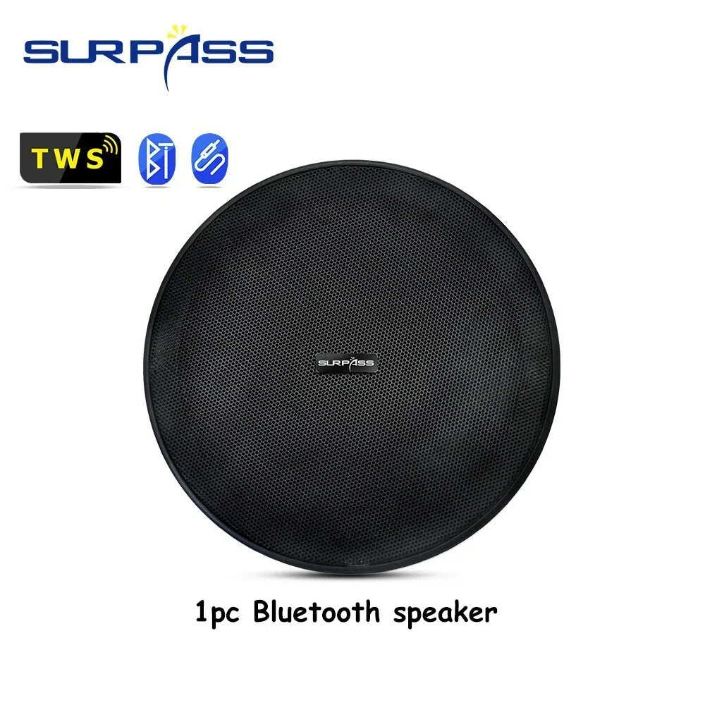 6-Inch SURPASS Audio Bluetooth Speakers - Indoor Speakers for: Home Theater, Hotel, Store, Bathroom.