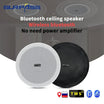 6-Inch SURPASS Audio Bluetooth Speakers - Indoor Speakers for: Home Theater, Hotel, Store, Bathroom.