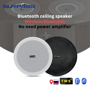 6-Inch SURPASS Audio Bluetooth Speakers - Indoor Speakers for: Home Theater, Hotel, Store, Bathroom.