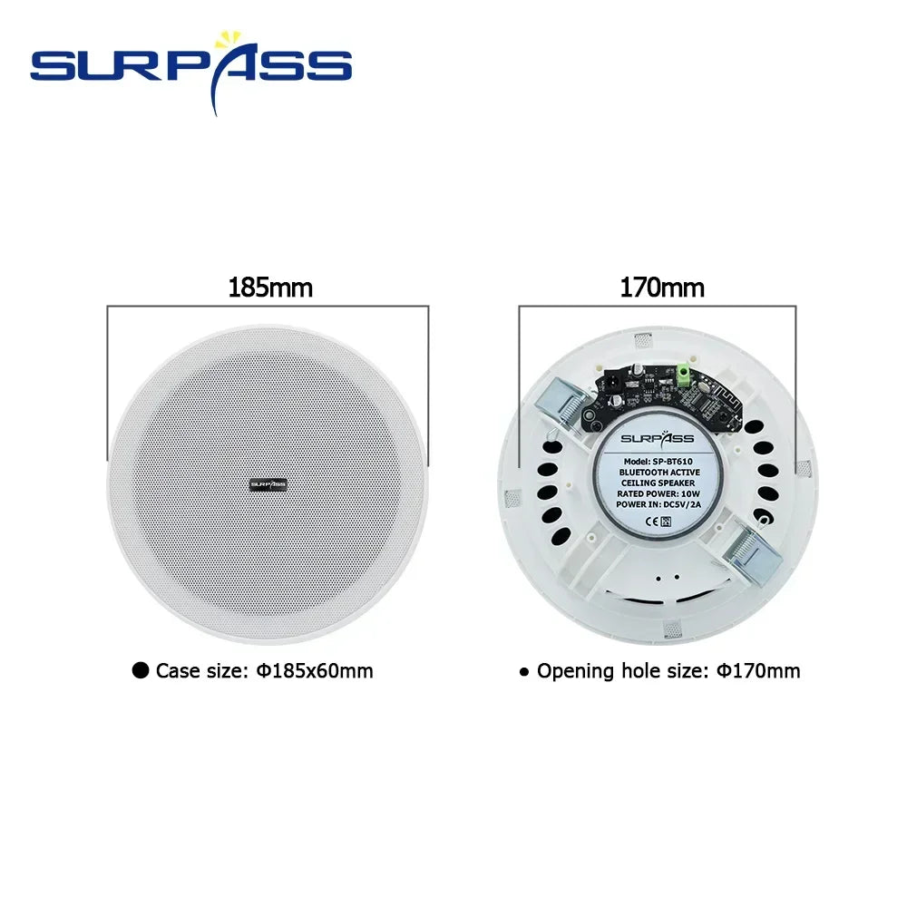 6-Inch SURPASS Audio Bluetooth Speakers - Indoor Speakers for: Home Theater, Hotel, Store, Bathroom.