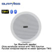 6-Inch SURPASS Audio Bluetooth Speakers - Indoor Speakers for: Home Theater, Hotel, Store, Bathroom.