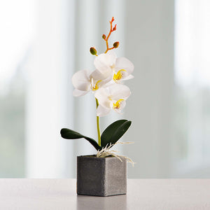Plantas Ornamentales Artificiales Decorativas, incluyendo Orquídeas y Espigas: Embellece tu Hogar con Elegancia y Frescura.